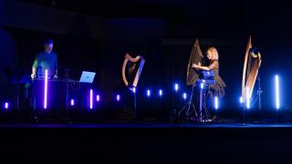 FitkinWall's Harp and Electronica show