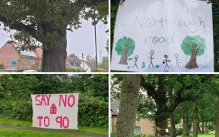 Tadley residents have been organising campaign to apply for Tree Preservation Orders on a variety of mature trees in the area. Photos: Carol Monaghan