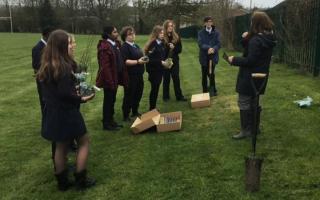 School students take part in planting trees in honour of Her Majesty.