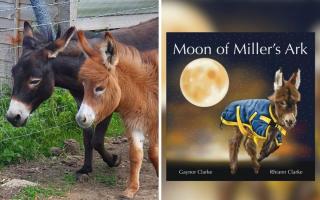 Moon and Astra and the front cover of the book