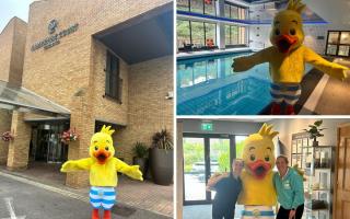 Puddle Ducks mascot around the hotel