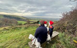 Five beautiful country walks in the South Downs this Christmas