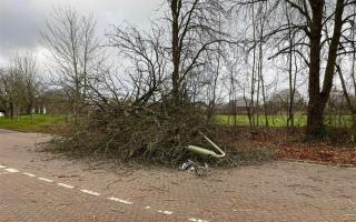 Storm Pia: Road in Rooksdown blocked due to fallen tree